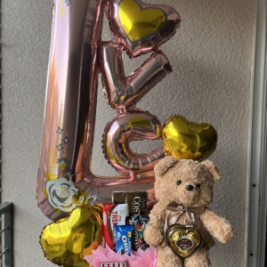Teddy Love