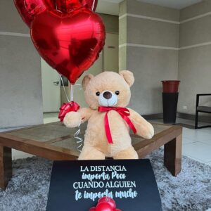 Sorpresa Teddy plus ♥️