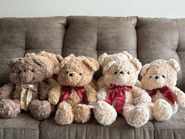 Ositos de peluche 45cm