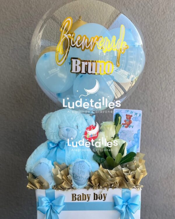 Bienvenida Baby