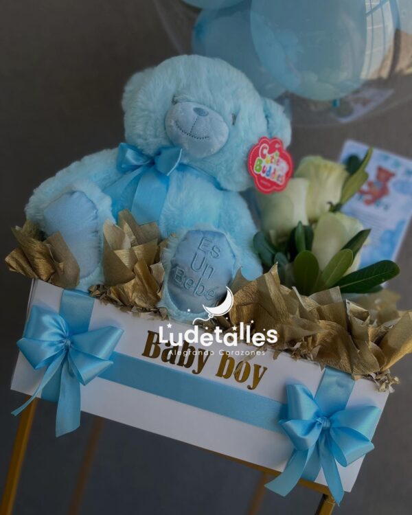 Bienvenida Baby